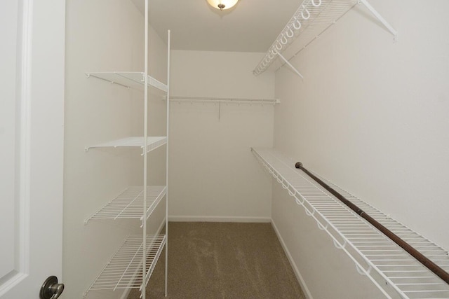 walk in closet featuring carpet