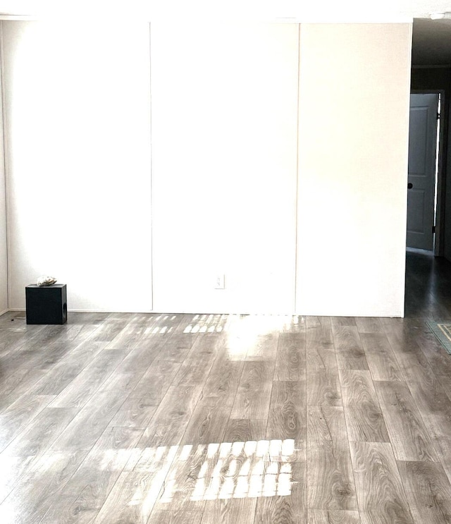 unfurnished bedroom with a closet and wood finished floors