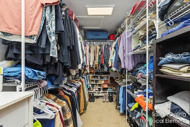 walk in closet with carpet floors