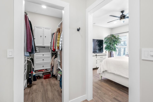 spacious closet featuring ceiling fan and wood finished floors