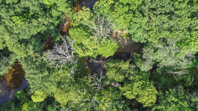 view of landscape featuring a wooded view