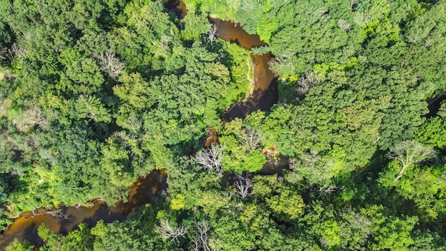 bird's eye view with a wooded view