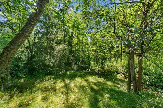 view of nature featuring a wooded view