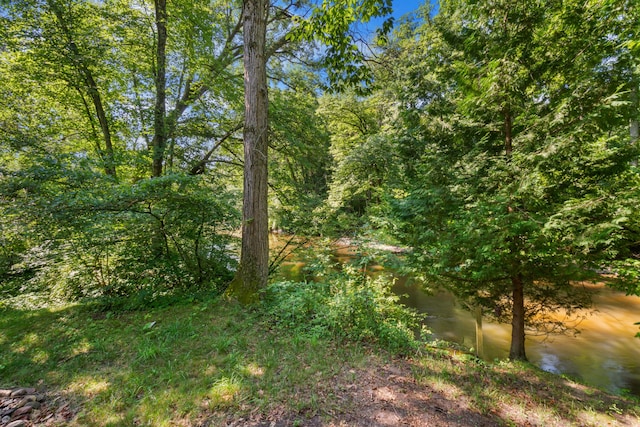 view of landscape featuring a wooded view