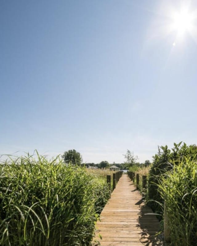 dock area featuring a rural view