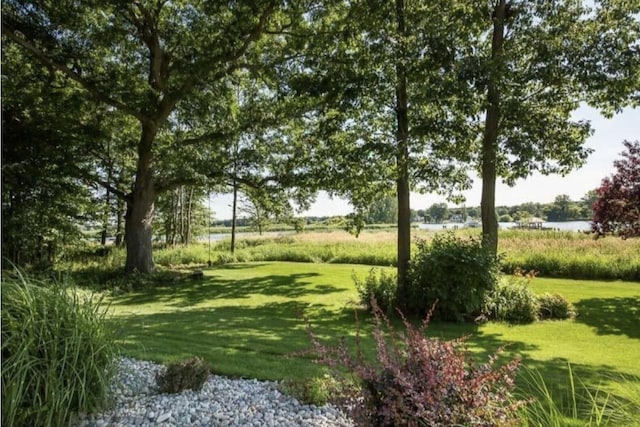 view of yard with a water view