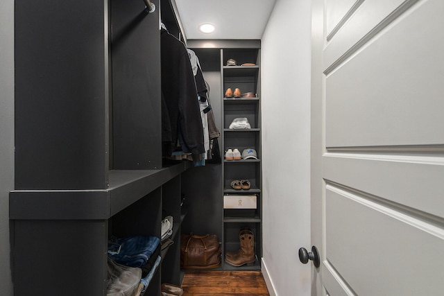 walk in closet with wood finished floors