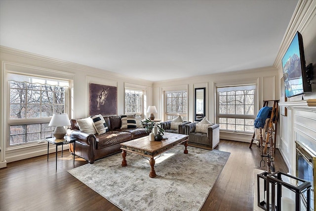 living area featuring a fireplace with flush hearth, ornamental molding, and wood finished floors