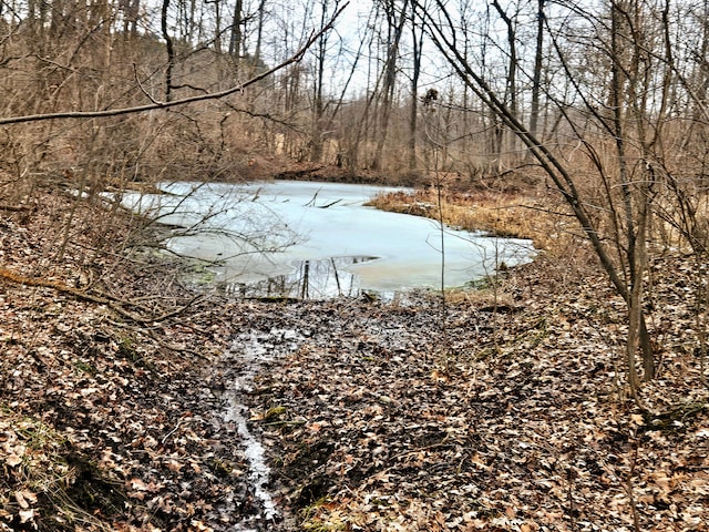 water view featuring a view of trees