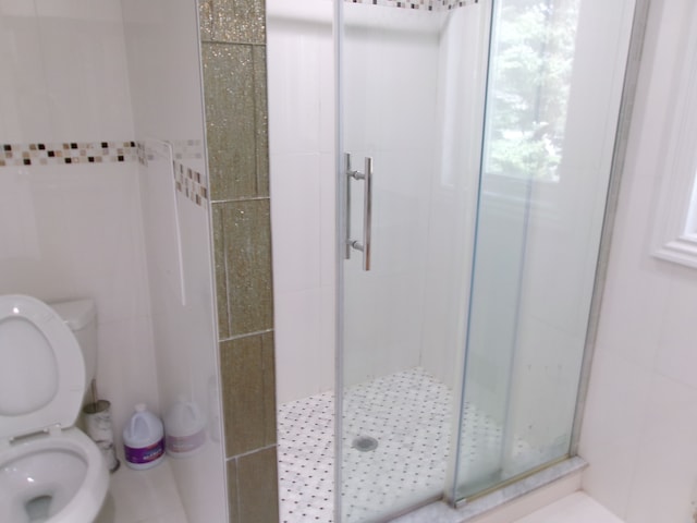 13267 Pearl Dr, Utica, MI 48315 - bathroom with toilet and a shower stall