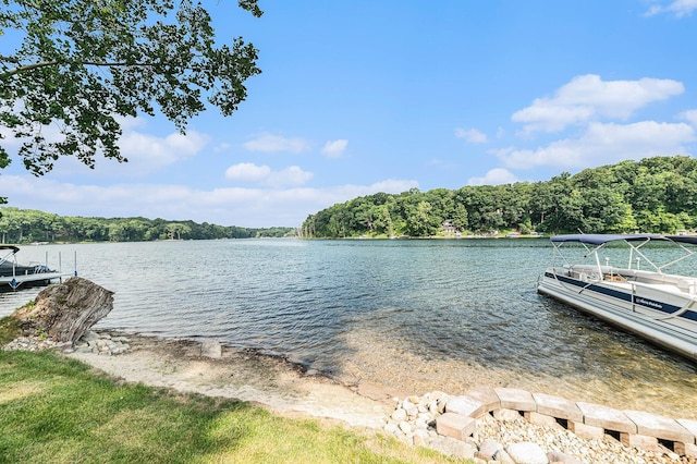 water view featuring a boat dock