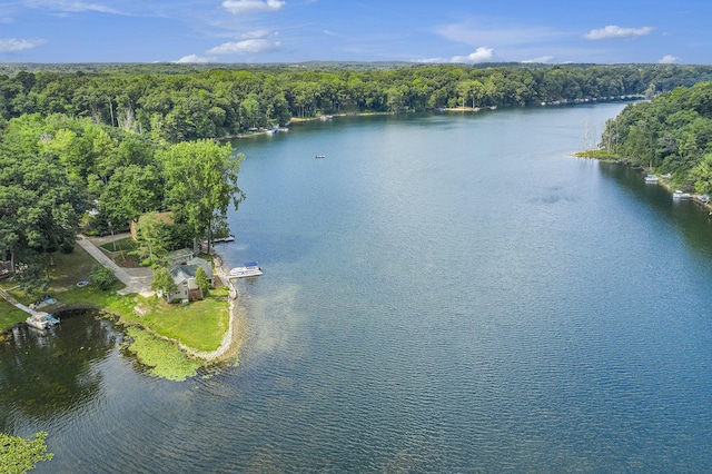 drone / aerial view with a water view and a view of trees