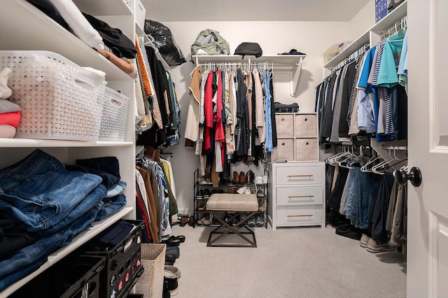 spacious closet featuring carpet flooring