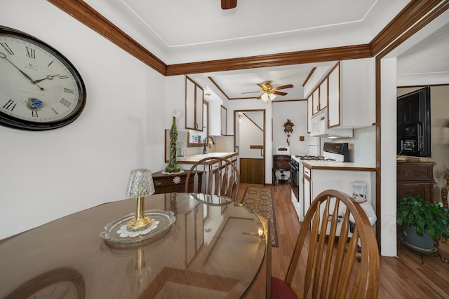 dining space featuring wood finished floors, a ceiling fan, and crown molding