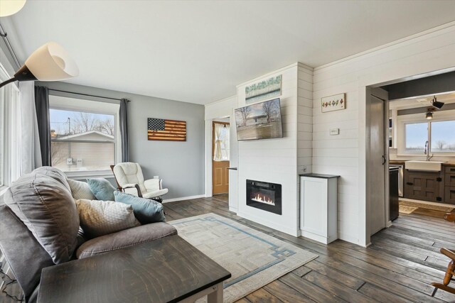 living room featuring dark wood-style floors, a fireplace, baseboards, and wood walls