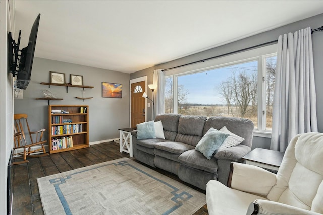 living room featuring wood-type flooring, a wealth of natural light, and baseboards