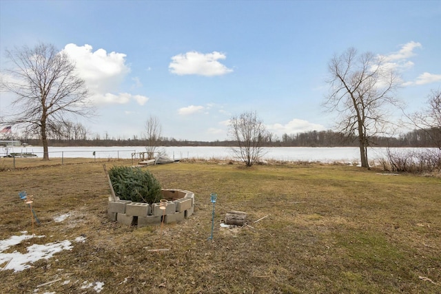 view of yard featuring a water view, fence, and a vegetable garden