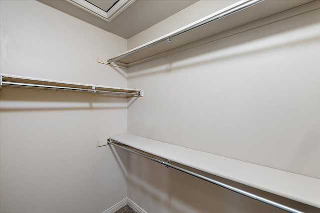 view of spacious closet