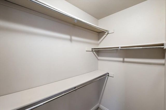 view of walk in closet