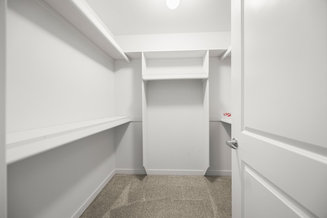 spacious closet featuring light colored carpet