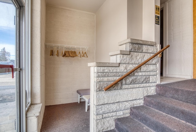 stairs with carpet floors and concrete block wall