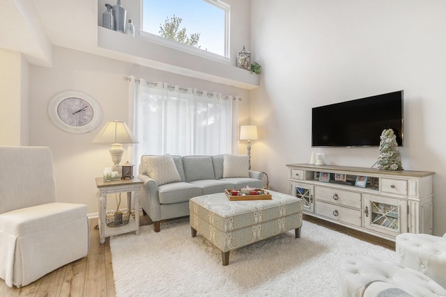 living area with a high ceiling and wood finished floors