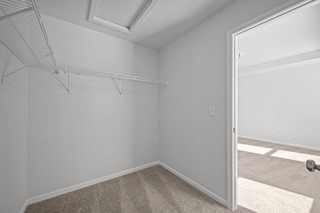 walk in closet featuring attic access and carpet