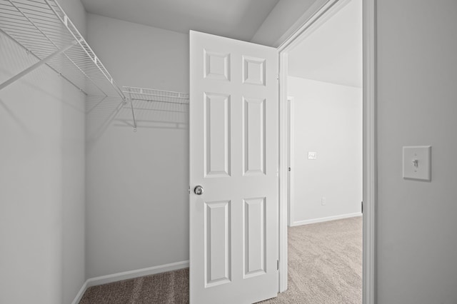 spacious closet with carpet