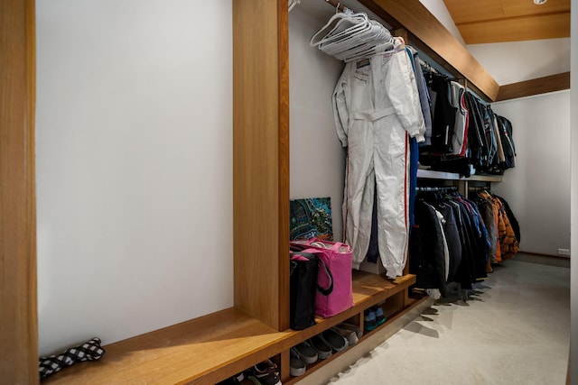 view of spacious closet