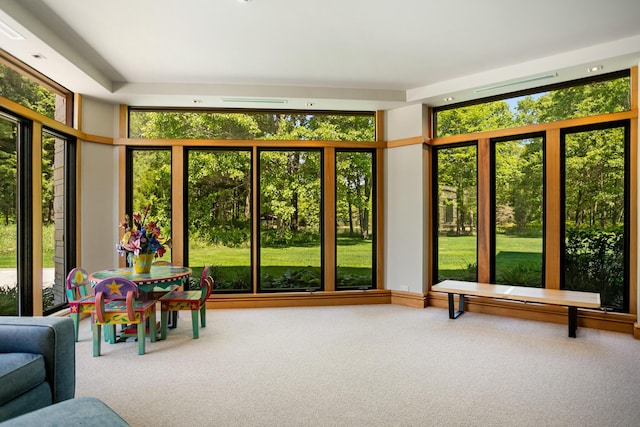 view of sunroom