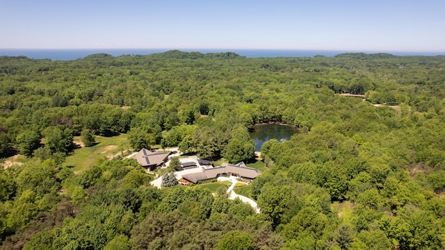 bird's eye view with a water view and a view of trees