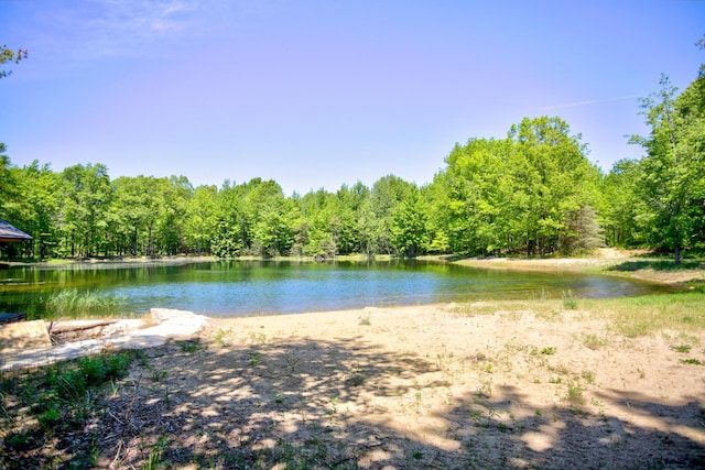 view of water feature with a forest view