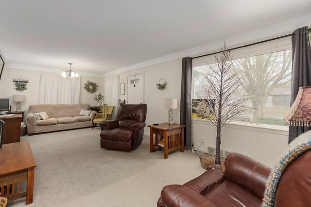 living area with a chandelier, crown molding, and carpet