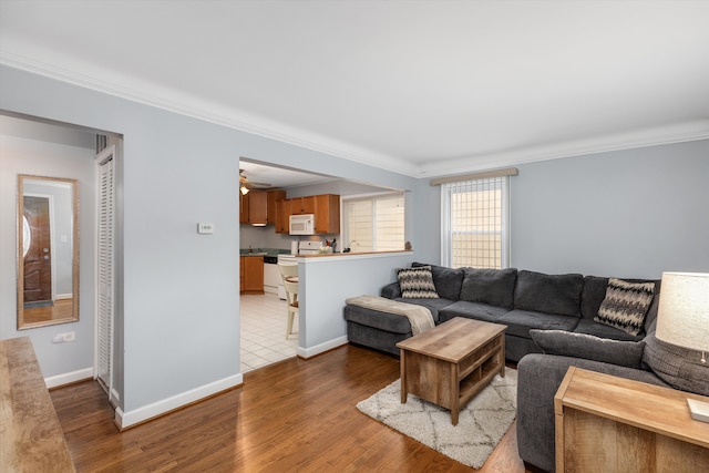 living area featuring baseboards, wood finished floors, and crown molding