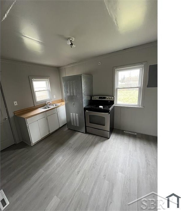 kitchen with stainless steel appliances, light wood-type flooring, a sink, and a healthy amount of sunlight