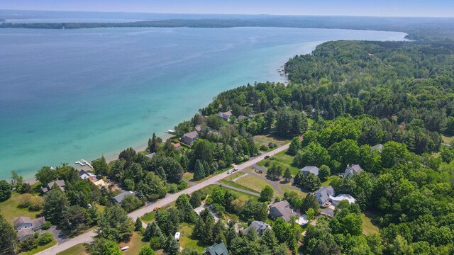 9821 Elk Lake Trl, Williamsburg, MI 49690 - photo 49