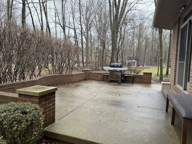 view of patio / terrace featuring area for grilling