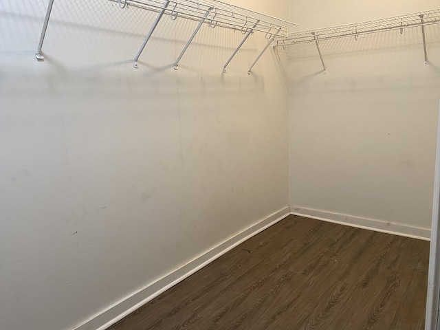 walk in closet with dark wood-style floors