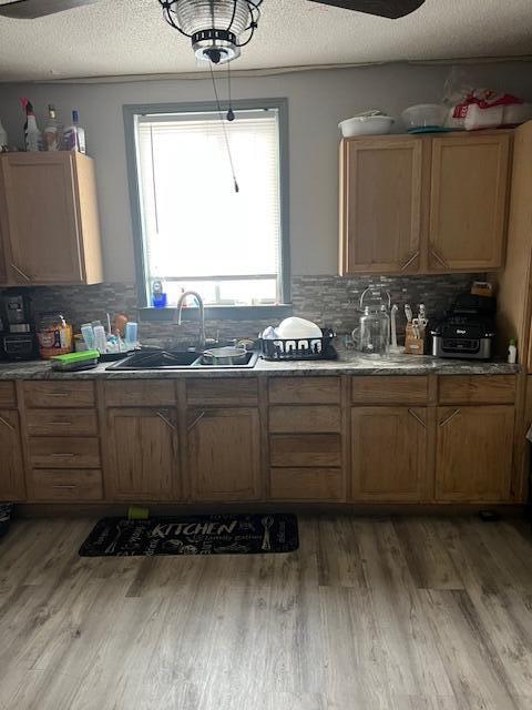 kitchen featuring light wood-style floors, a sink, and decorative backsplash