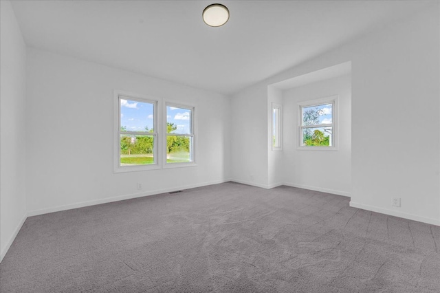 spare room featuring baseboards, carpet, and a healthy amount of sunlight