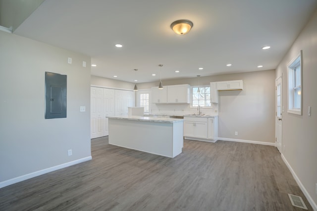 kitchen with white cabinetry, electric panel, wood finished floors, and baseboards