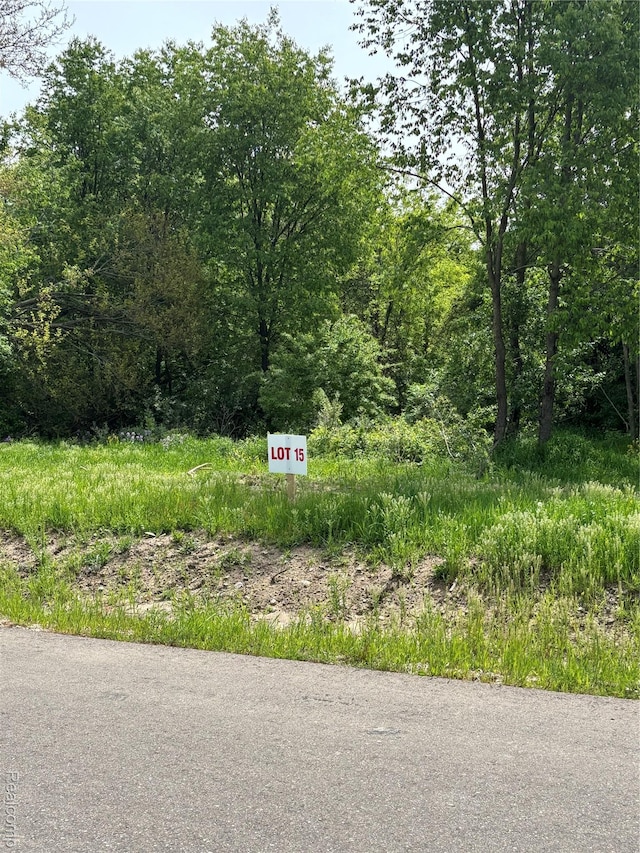 4035 Metamora Rdg, Metamora, MI 48455