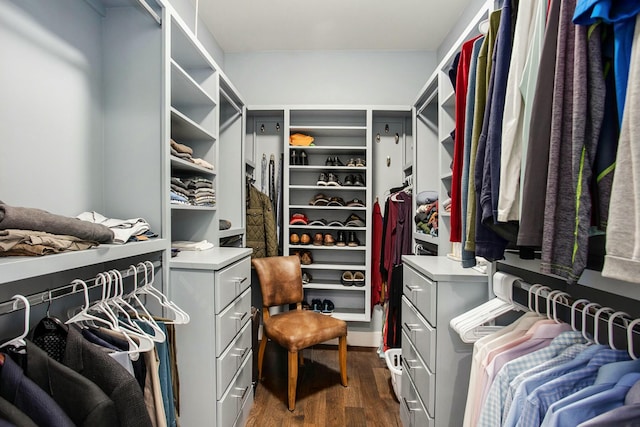 walk in closet with dark wood finished floors