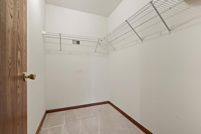 spacious closet with carpet floors