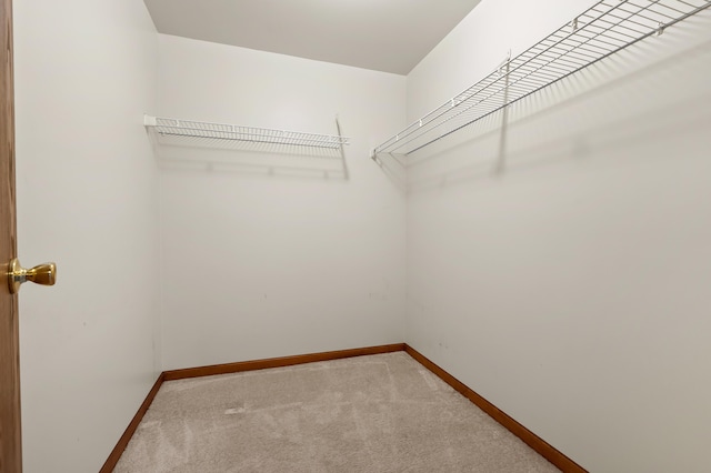 spacious closet featuring light colored carpet