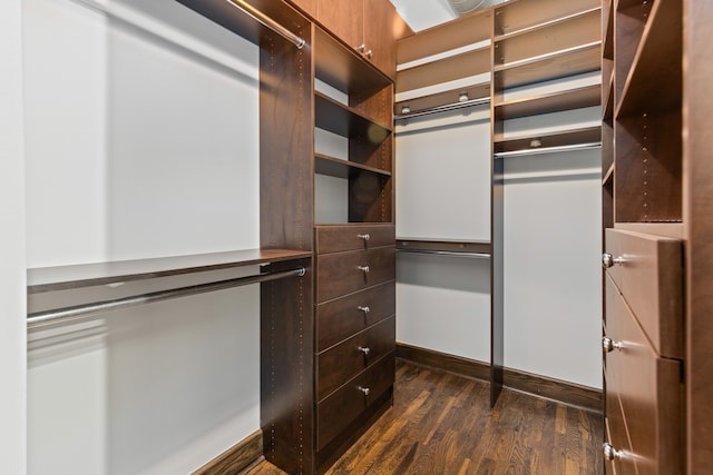 spacious closet featuring dark wood finished floors