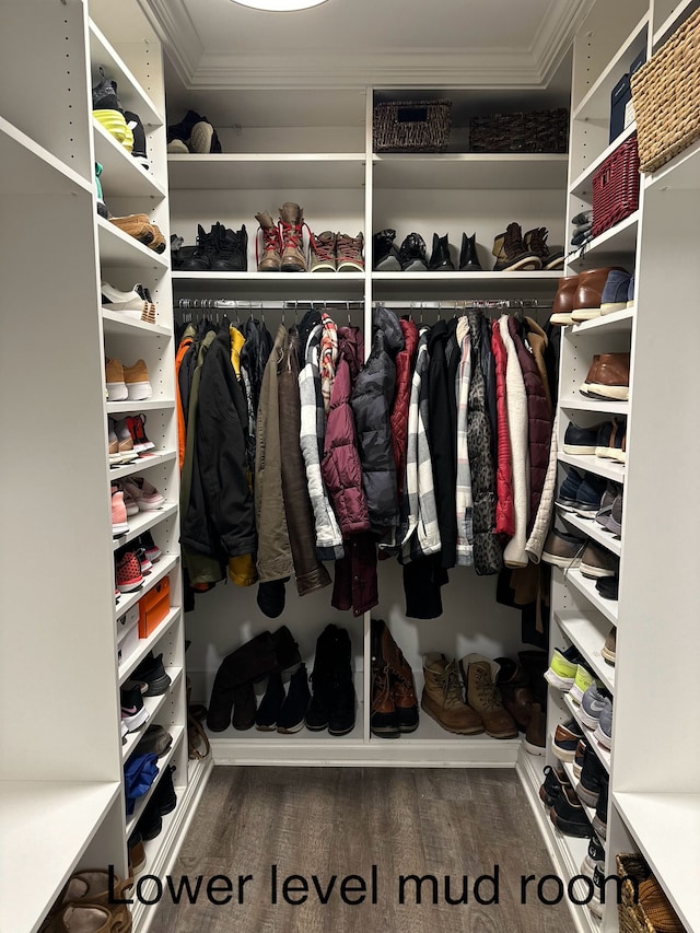 spacious closet featuring wood finished floors