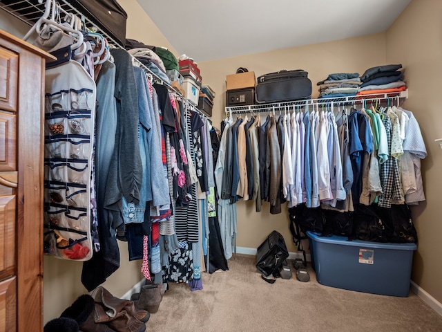 walk in closet featuring carpet flooring