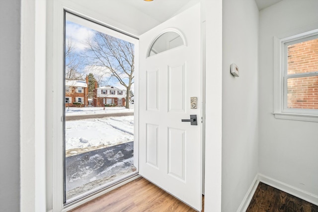 foyer entrance with wood finished floors, a wealth of natural light, and baseboards