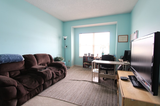 carpeted office space with baseboards and a textured ceiling